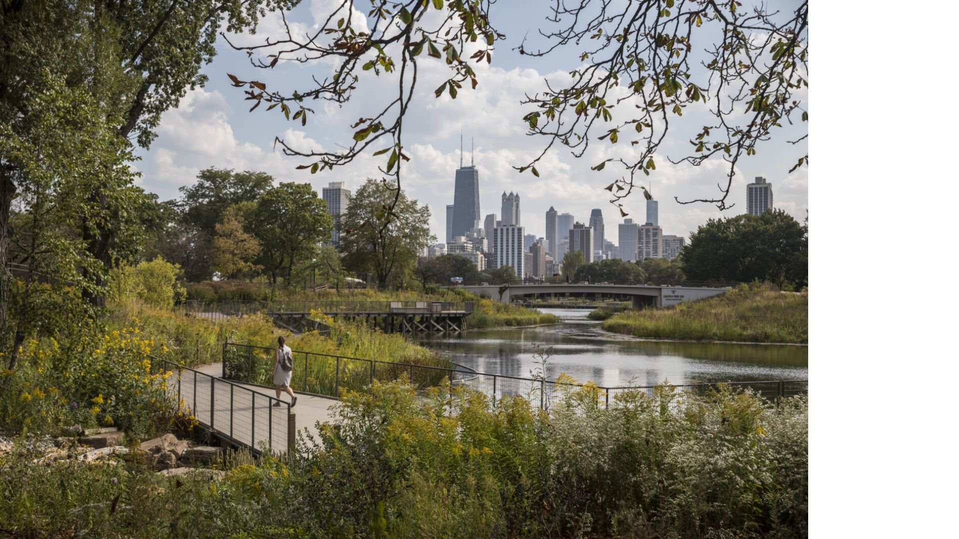 7. Lincoln Park Nature Boardwalk. Chicago photoshoot locations